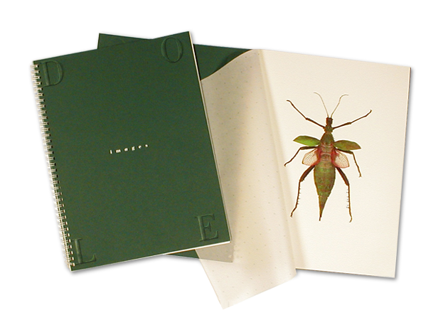 Jody Dole photography view book